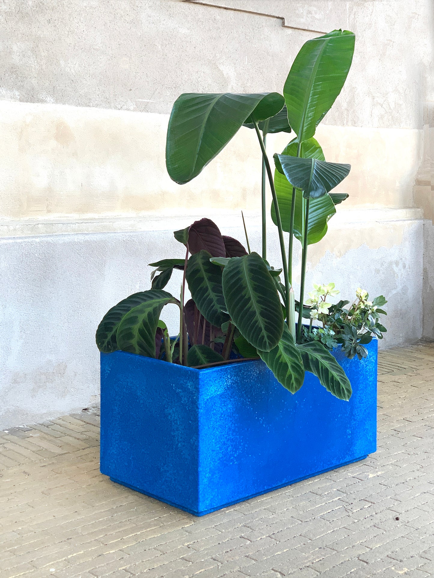 Earth Divider -Ocean Blue