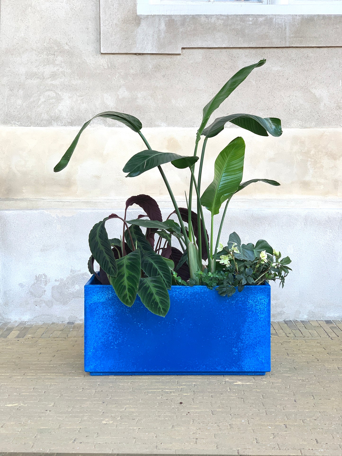 Earth Divider -Ocean Blue